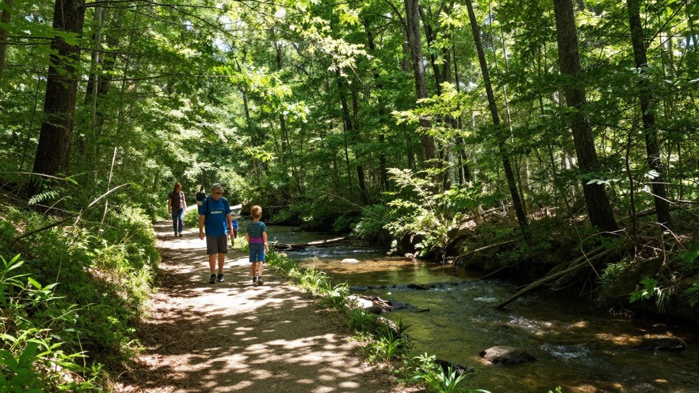 Boy Scout troop hiking along a forest trail near a creek in Roswell, Georgia.