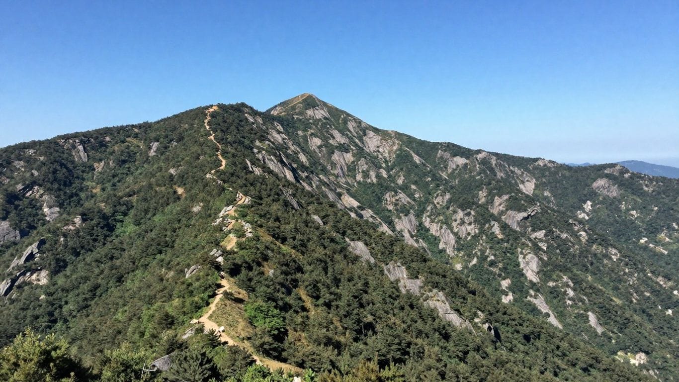Scenic mountain trail with lush greenery and clear blue sky.